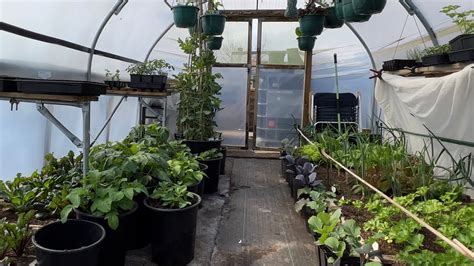 Polytunnel progress in April - YouTube