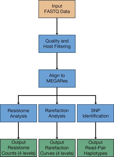 A Pipeline Workflow Diagram Describing The Steps Involved In The Download Scientific Diagram