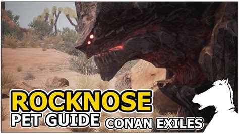 Rocknose Pets Guide Conan Exiles Youtube