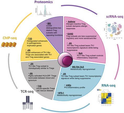 Biomedicines Free Full Text Rebooting Regulatory T Cell And Dendritic Cell Function In