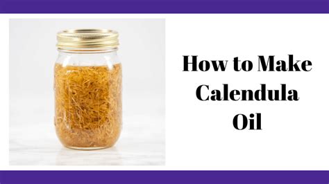 Diy Calendula Oil Recipe Diy Calendula Oil In One Day The Artisan Life