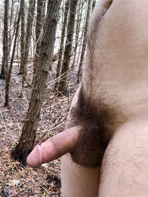 Forests In This Pic Nudes By Still Hawk