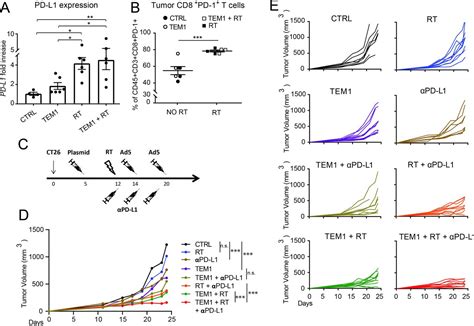 Combination Of Vasculature Targeting Hypofractionated Radiotherapy