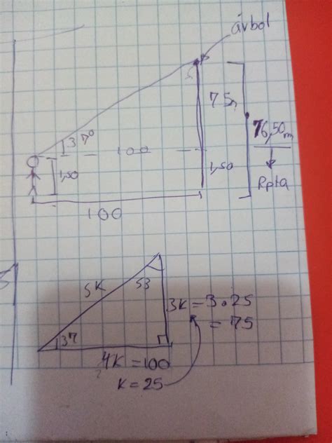 una persona de 1 50m de estatura observa la cúspide de un árbol desde