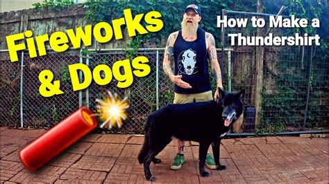 Dogs And Fireworks What To Do How To Make A Thundershirt K9 Anxiety