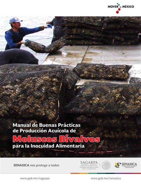 PDF Manual de Buenas Prácticas de Producción Acuícola de