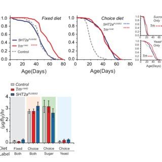 Serotonin Signaling Through Receptor A Modulates Protein Preference