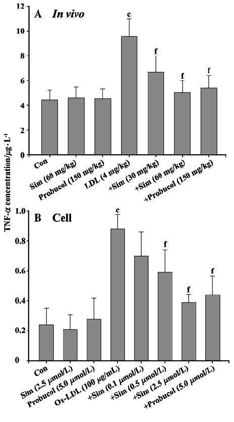 Effects Of Simvastatin And Probucol On Concentrations Of Tnf α α α α α