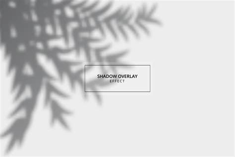 Plant shadow overlay effect on gray background 3049913 Vector Art at Vecteezy