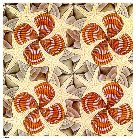 M C Escher Shells And Starfish Escher Art Drawing Optical Illusions