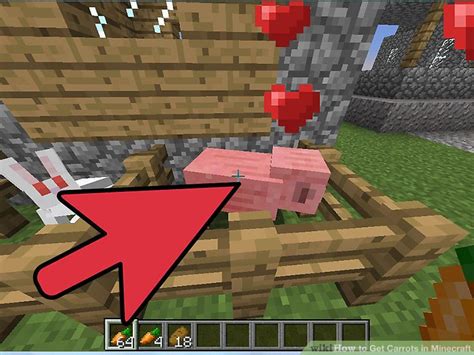 3 Easy Ways To Get Carrots In Minecraft With Pictures