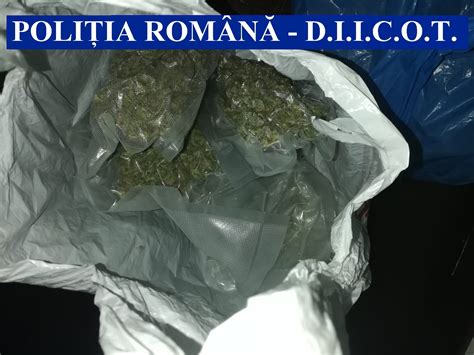 Cinci Descinderi Ntr Un Dosar De Trafic De Droguri La Ia I O