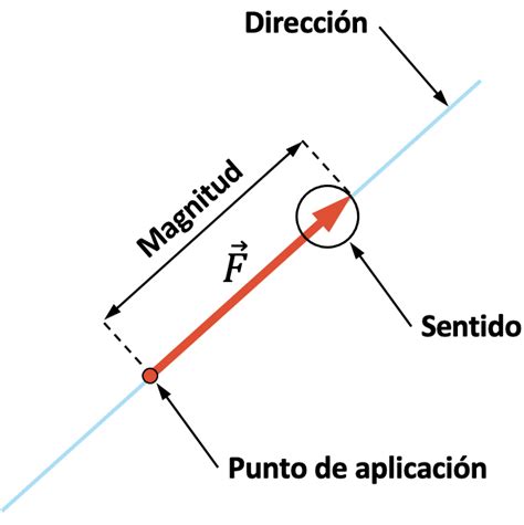 Sentido De Una Fuerza Significado Y Ejemplos