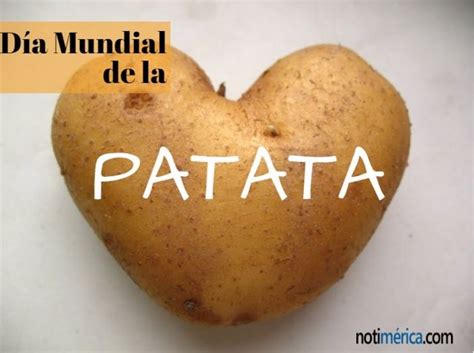 31 de marzo Día Mundial de las Patatas aprende 5 recetas rápidas y