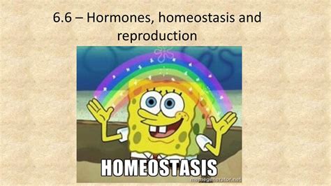 6 6 Hormones Homeostasis And Reproduction Ppt Download