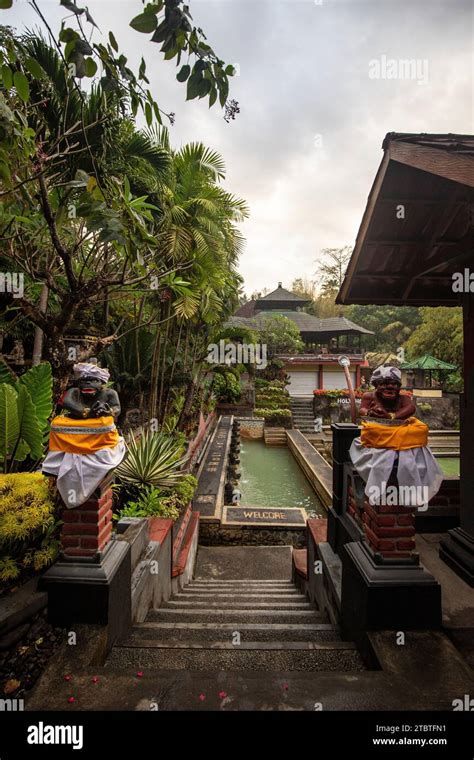 Hot Springs Thermal Bath In The Tropical Jungle Ritual Sulphurous Pool For Swimming Banjar