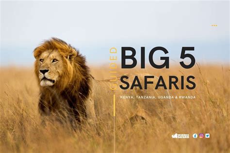 Big 5 Safari Trips in East Africa | Wildlife Game Drives | Nkuringo Safaris