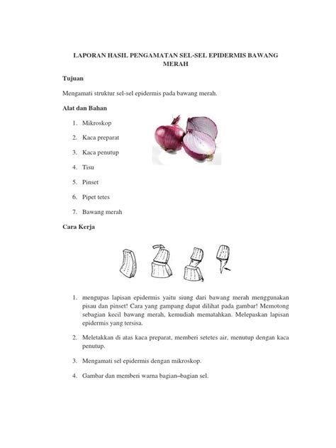 Pdf Laporan Hasil Pengamatan Sel Dokumen Tips