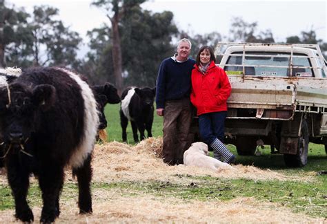 Warialda Belted Galloways Farm Goseymour