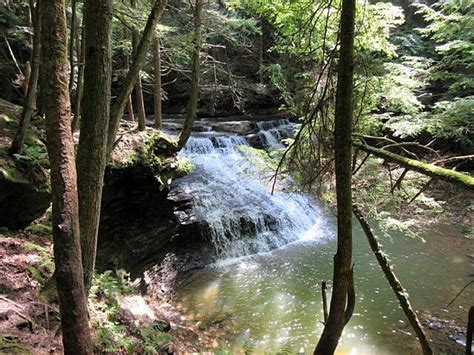 Allegheny River Trail Photos | TrailLink