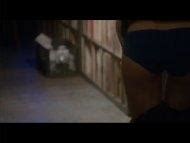 Two Night Stand Nude Pics Page