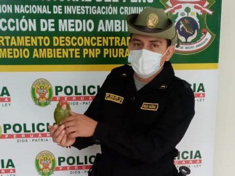 Policía Nacional del Perú on Twitter Piura Efectivos de la