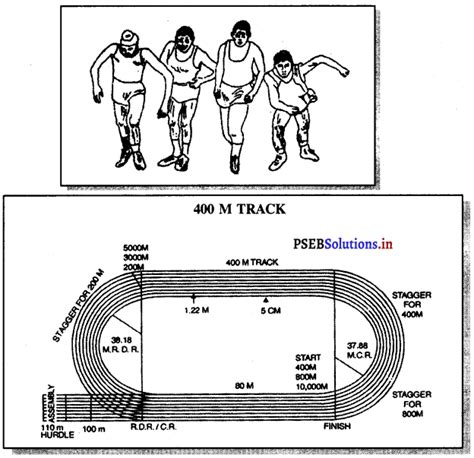 Athletics Game Rules Pseb Th Class Physical Education