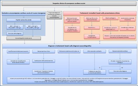 Evidence Linee Guida Per La Diagnosi E Il Trattamento Dello Scompenso