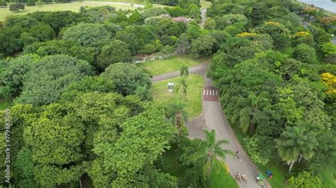 Parque Villa Lobos S O Paulo Brasil Vegeta O Natureza Recrea O Lazer