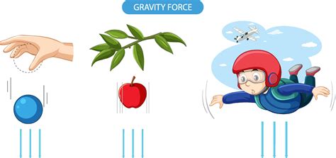 Gravity force experiment example 7100779 Vector Art at Vecteezy