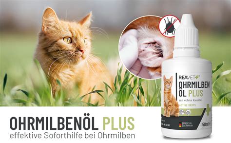 Reavet Ohrmilben L Plus Ml Sofort Wirksames Mittel F R Katzen Gegen