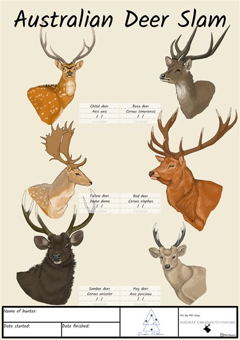 Australian Deer Slam A1 Poster Eureka Tactical
