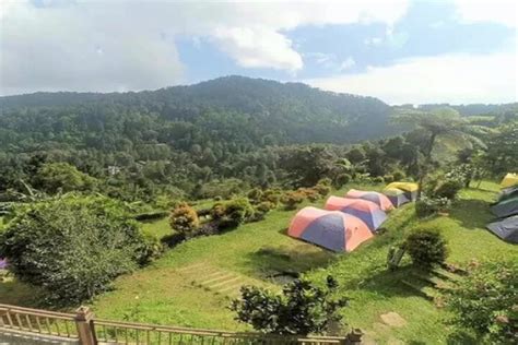 Sekilas Tentang Kampoeng Awan Tempat Camping Di Puncak Bogor Dengan