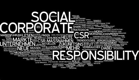 Strategic CSR: Between Business Value and Reputational Quality - Fair ...