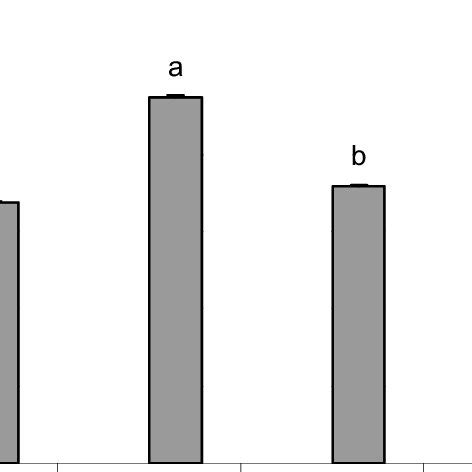 Phenolic content of the four muskmelon varieties. Values for each ...