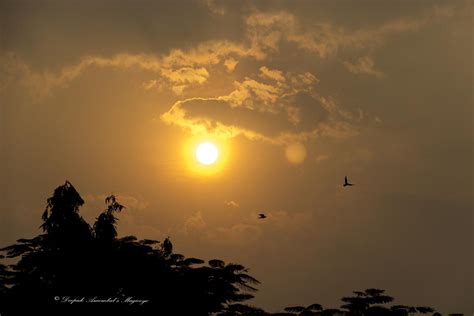 Mumbai Daily Golden Hour