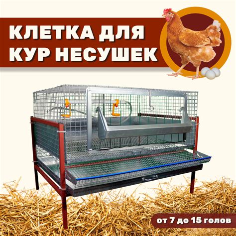 Клетка для кур несушек на 10 голов. Удачный Фермер. КН-10-Р - купить с ...