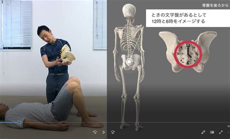 誤解だらけの世間の体幹トレーニング 整体＆パーソナルトレーニングで身体を根本から改善する！西新宿おくがわ整体院blog 新宿 西新宿 中野 渋谷