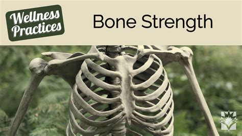 Wellness Practices for Bone Strength - Yoga Vista TV