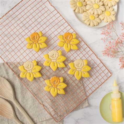 Flor Vanilla Cortador Carimbo Biscoito COOKTOY Inovação em