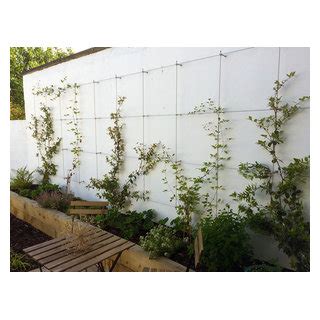 Tensioned Wire Trellis Asiatisch Garten Dublin Von Maximize