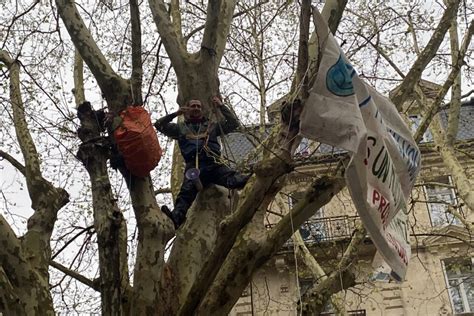 Deux Militants Colos Perch S Dans Les Arbres Pendant Heures