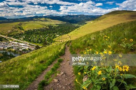 Trail And Flowers On Mount Sentinel In Missoula Montana High Res Stock