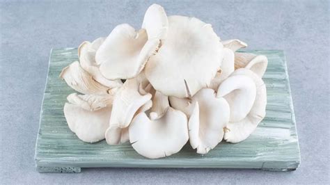 Oyster Mushroom Nutritional Value Per G Nutritionfact In