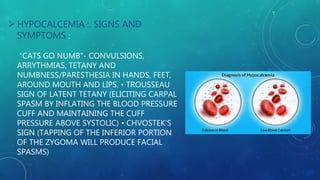 Physiology Ca++ Homeostatis | PPT