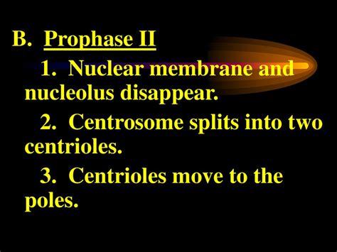 Meiosis The Formation Of Sex Cells Ppt Download