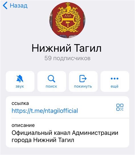 У мэрии Нижнего Тагила появился официальный Telegram-канал | Новости ...