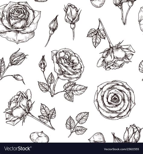 Top Pictures Pictures Of Hand Drawn Roses Superb