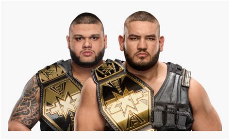 Authors Of Pain Nxt Tag Team Champions, HD Png Download - kindpng