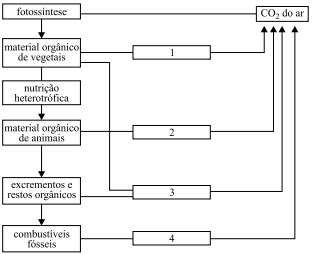 Aio Observe O Esquema Sobre O Esquema Foram Feitas As